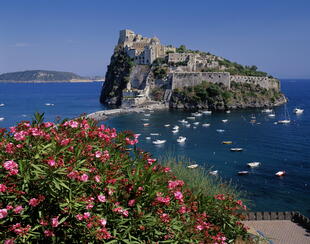 Fischerboote in der Bucht von Ischia Ponte