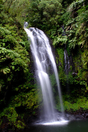 Wasserfall im Regenwald