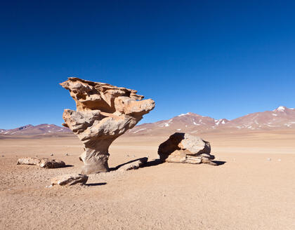 Arbol de Piedra