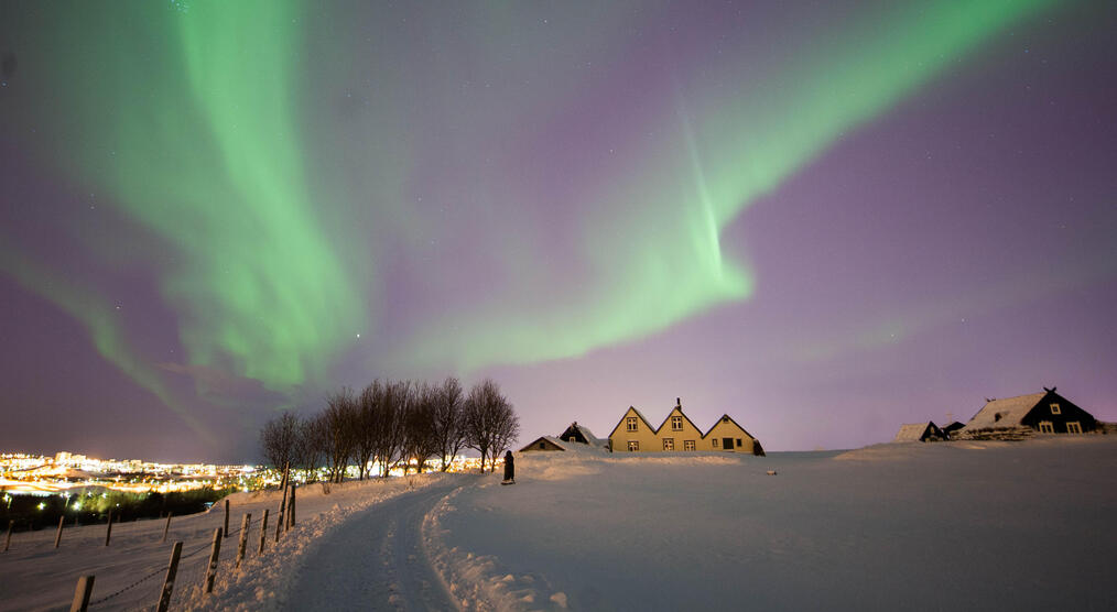 Nordlichter auf einer Island Gruppenreise