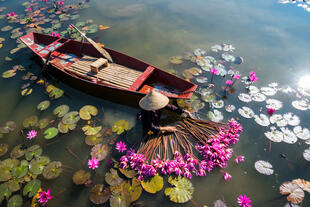 Ruderboot in Ninh Binh