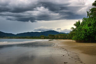 Daintree National Park 