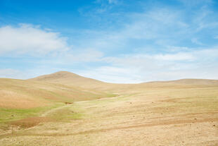 Hustai Nationalpark