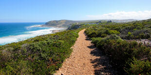 Robberg Nature Reserve