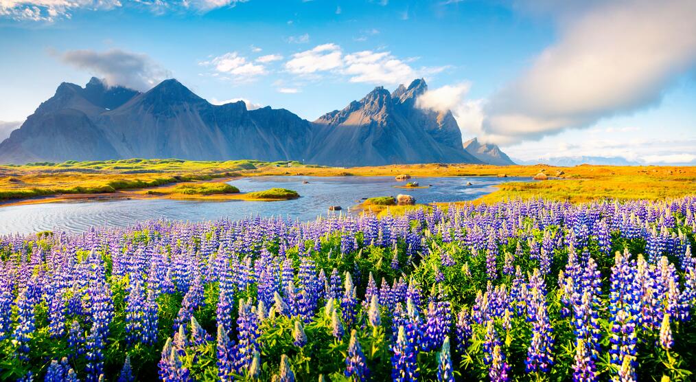 Vestrahorn