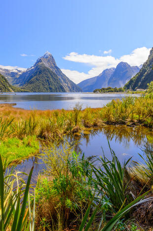 Milford Sound