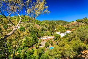 Panorama Caldas de Monchique