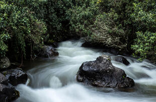 Papallacta Fluss