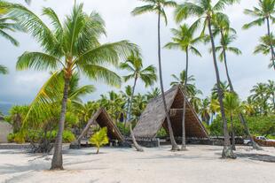 Puuhonua o Honaunau National Historic Park