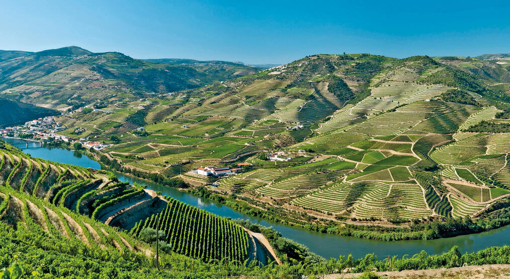 Panorama Douro Tal mit Weinbergen