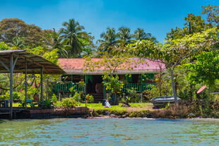 Tortuguero National Park 