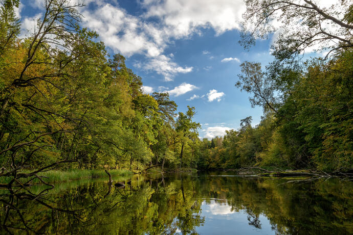 Flusslandschaft Krutinna