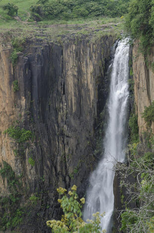 Howick Falls 