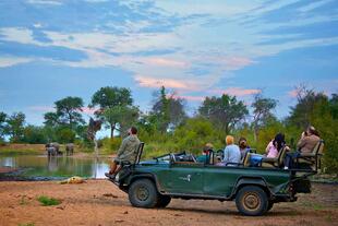 Nthambo Tree Camp