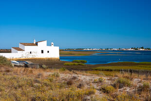 Ria Formosa 