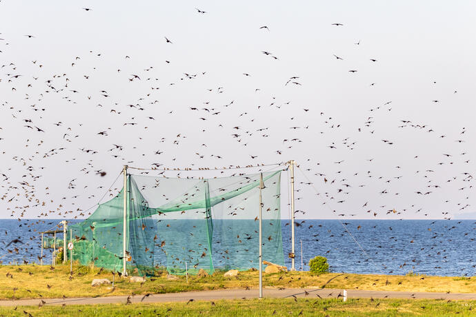 Vogelwarte Windenburger Eck