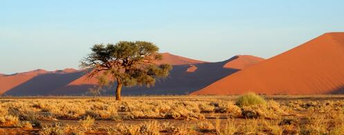 Dünen von Sossusvlei