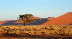 Dünen von Sossusvlei