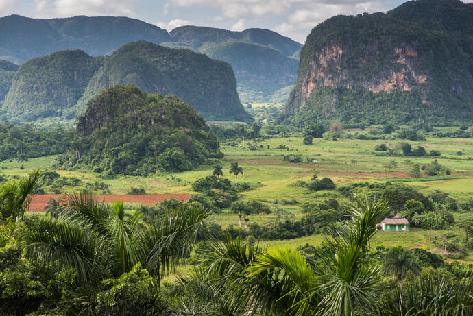 Vinales Tal