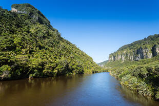 Porariri River im Paparoa Nationalpark 