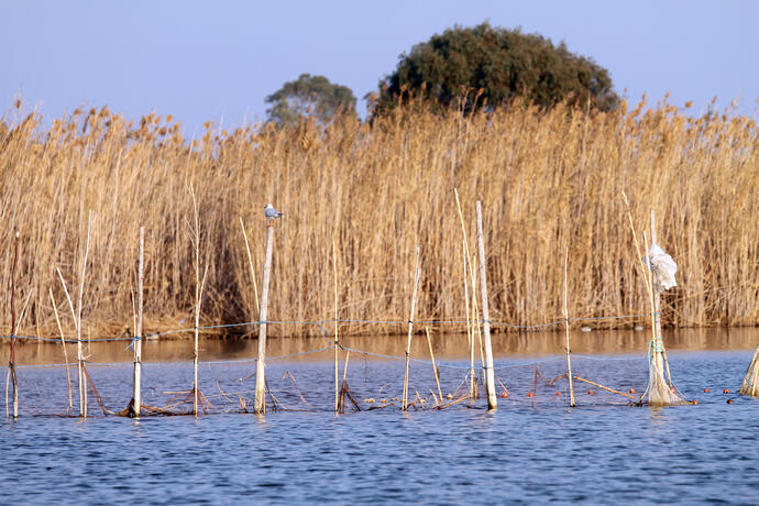 Albufera Naturpark