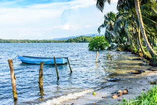 Strand von Livingston