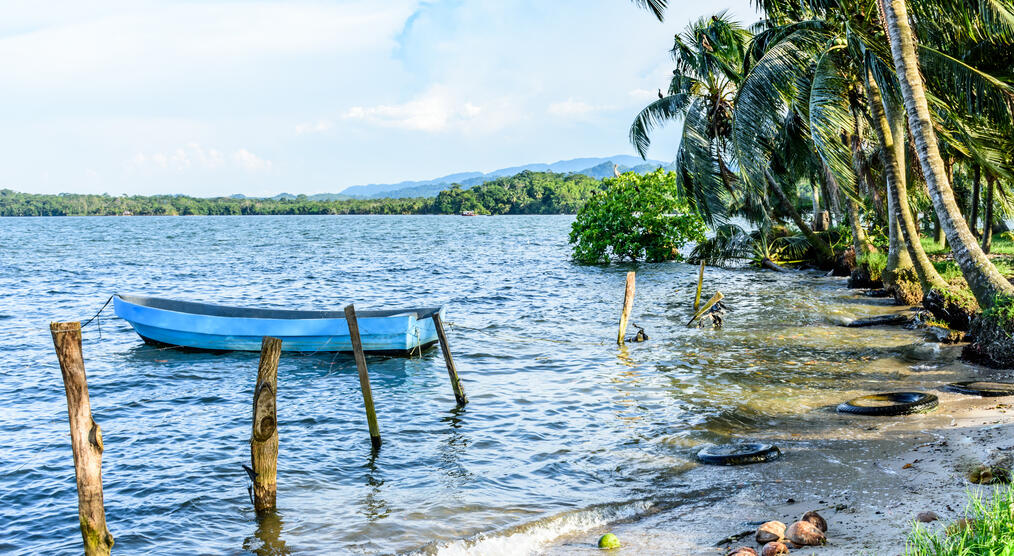 Strand von Livingston