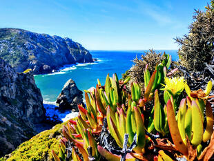 Cabo da Roca