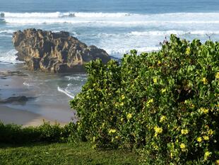 Gardenroute