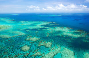 Great Barrier Reef