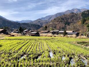 Shirakawago