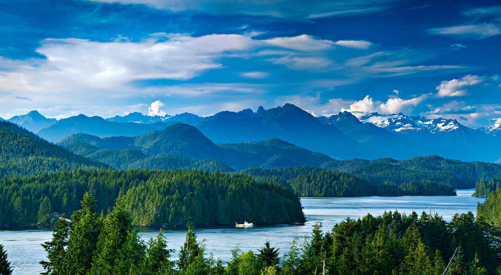 Tofino