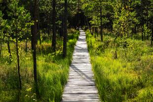 Naturpark Varnikai 