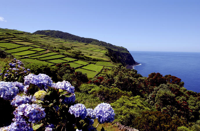 Terceira Island