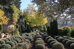 La Louve terrasse agricole