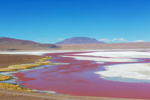 Laguna Colorada