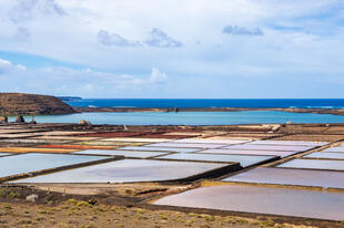 Salinas de Janubio