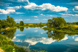 Wunderschöne Sommerlandschaft