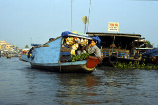 Mekong Delta 