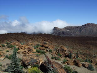 Panorama in Teide