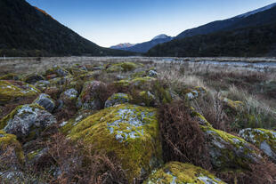 Mount Aspiring National Park 