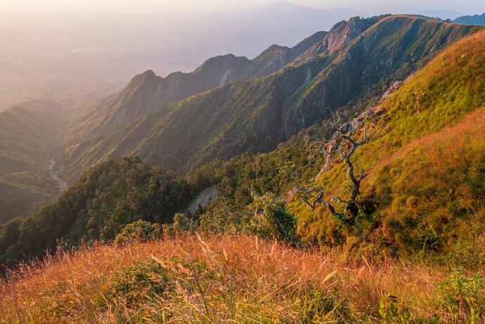 Zomba Plateau