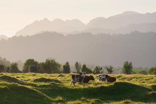 Carretera Austral 