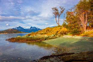 Natur in Tierra del Fuego