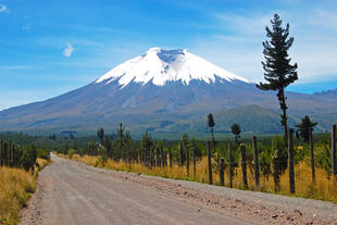 Straße zum Cotopaxi