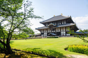 Todaiji Tempel