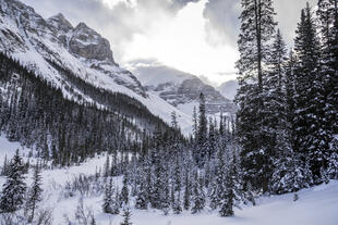 Winter in den Rockies