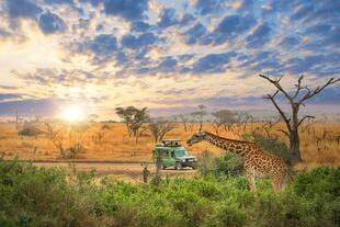 Serengeti Nationalpark