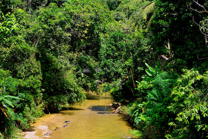 Annah Rais Village in Sarawak