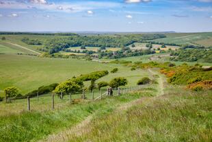 Wanderpfad in den South Downs